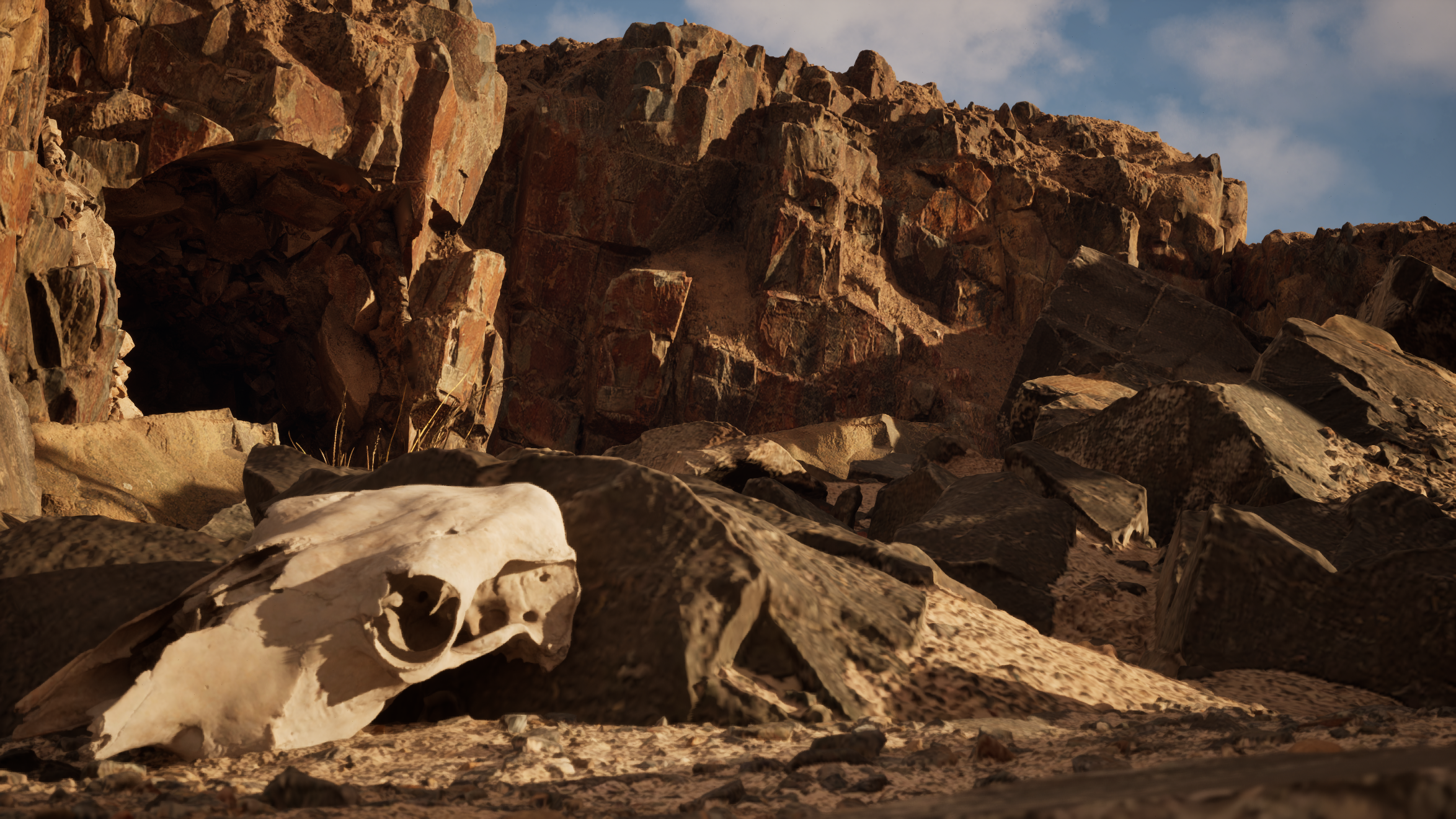 Rocky Desert: wide landscape view